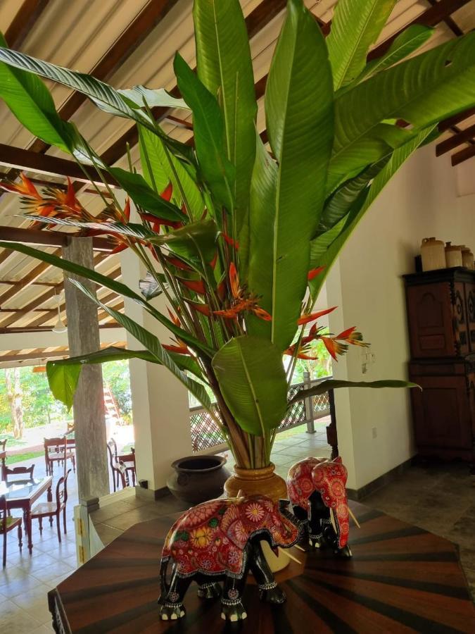 Villa Birdlake Хикадува Екстериор снимка