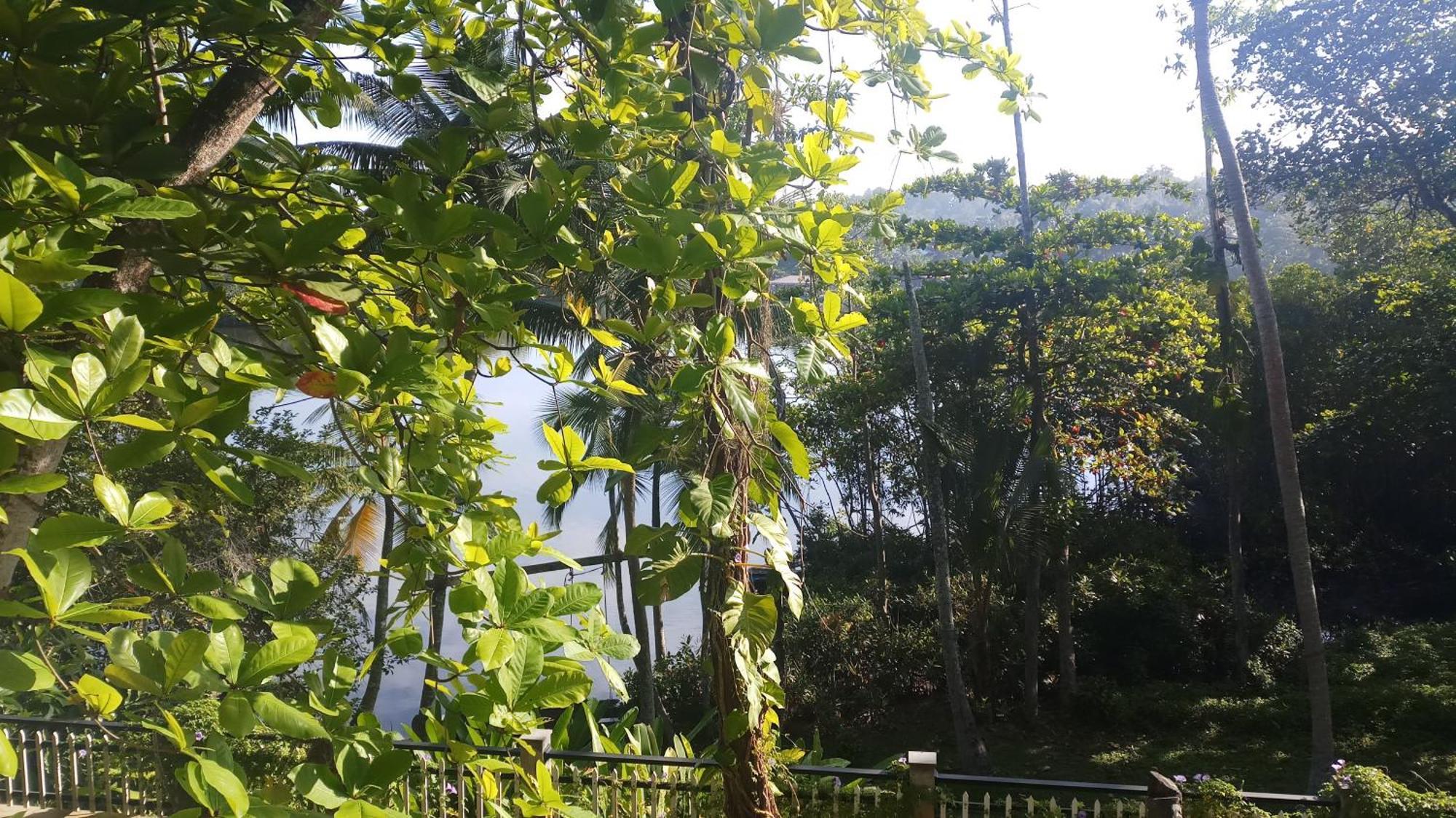 Villa Birdlake Хикадува Екстериор снимка